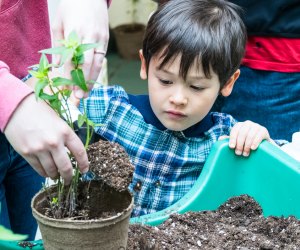 Kids are never too young to learn about Earth Day and protecting the planet. Photo by Ed Wondoloski, for Montgomery County Parks