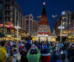 Christmas in DC: Ultimate 3-Day Itinerary for a Magical Holiday with Kids