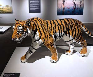 TK Spring Bucket List Ideas for Kids in DC The Art of the Brick 