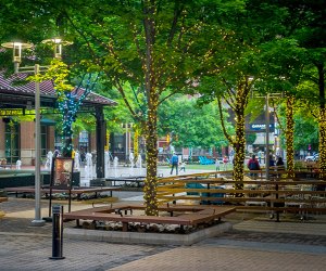 DC downtown Rockville  25 fun things to do with kids in Rockville Maryland