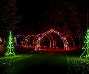 It's time for light shows, like the Gaithersburg Winter Lights Festival! Photo courtesy of the Gaithersburg Government