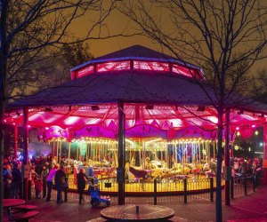 See the National Zoo in a whole new light at ZooLights. Photo courtesy of the Smithsonian National Zoo