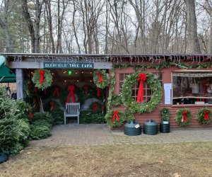 Image of farm stand at Christmas tree farm near Boston
