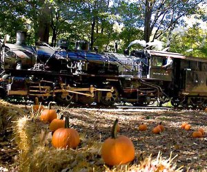 Take the Great Pumpkin Train to the patch and enjoy the beautiful autumn scenery. Photo courtesy of Delaware River Railroad Excursions
