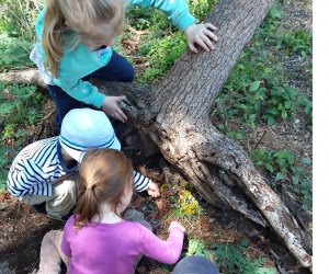 Get in touch with nature. Photo courtesy of Denison Pequotsepos Nature Center 