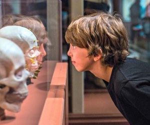 Denver Museum of Nature and Science