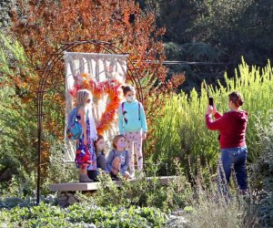 What's Open iin LA Now: Descanso Gardens