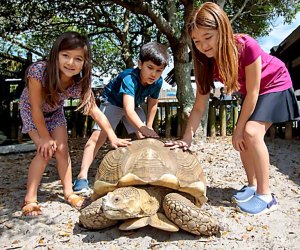 Gulfarium Marine Adventure Park: Things to do in Destin, Florida with kids
