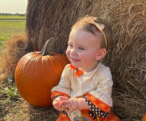 Dewberry Farm pumpkin patch