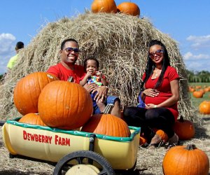Trick or treat, hit the pumpkin patch, and find more Halloween events. Photo courtesy Dewberry Farm