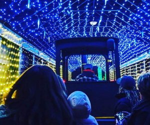 NJ holiday lights DiDonato's Magical Holiday Express 