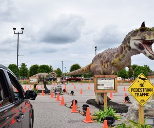 A Drive Thru Dino Safari Roars Onto Long Island Mommypoppins Things To Do In Long Island With Kids