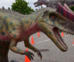 two dinosaurs seen from a car window in a Drive thru Safari