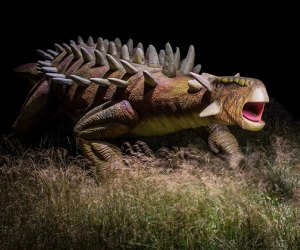 Weekday Fun: Dinosaurs After Dark, Shopkins Live, Oktoberfest