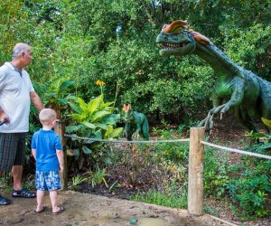 Families can get up close and personal with animatronic dinosaurs at The Houston Zoo. Photo courtesy of Stephanie Adams. 