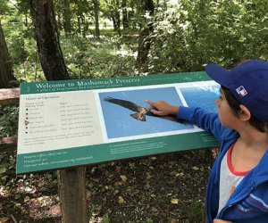 The Mashomack Preserve preserve has 11 miles of coastline and acres of creeks, woodlands, and fields. Photo by Jaime Sumersille