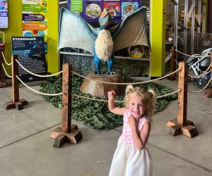 Dino Quest at Discovery Cube OC. Photo by Kylie Williams