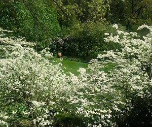 Reeves-Reed Arboretum offers family-friendly programming