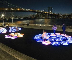wide shot Manhattan skyline Reflect, Domino Park's New Light-up Public Art Installation