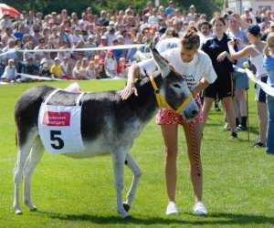 Weekend Fun for Boston Kids: Dogs and Donkeys, PJ Party, and Live Music, Sept 9-10