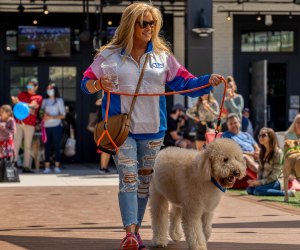 International Doodle Dog Day | MommyPoppins - Things to do in Atlanta