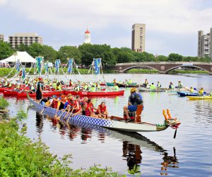 Weekend Fun for Boston Kids: Dragons, Oceans, and Arts; Jun 8-9 Dragon Boat Festival. Photo courtesy of Massachusetts Office of Travel & Tourism