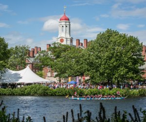 Boston Hong Kong Dragon Boat Festival photo by Kyle Klein Photography, courtesy of the Massachusetts Office of Travel & Tourism.