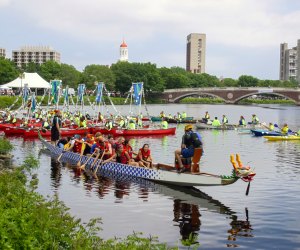 Here there be dragon boats, and more fun things to do in Boston this weekend! Dragon Boat Festival photo by Richard Pasley, courtesy of the Massachusetts Office of Travel & Tourism.