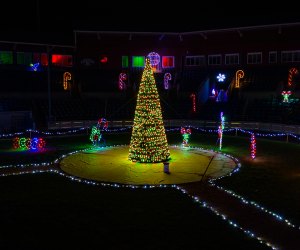 Illuminated Christmas tree at Skylands Stadium's drive-through Christmas Light Show
