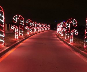 Take a drive down Candy Cane Lane at the Jones Beach Magic of Lights show. Photo courtesy of  Jones Beach Magic of Lights