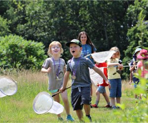 Catch butterflies and make friends with nature in Lincoln. Photo courtesy of Drumlin Farm Camp