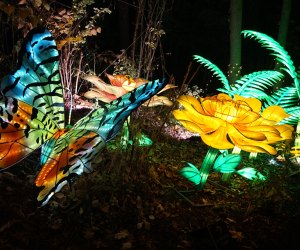 Holiday activities and Christmas events in NYC: Bronx Zoo Lights