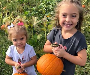 Pumpkin patches near New Jersey Duffield's Farm