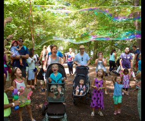 Experience the beauty of nature at Dunwoody Nature Center's Butterfly Experience on September 7-8. Photo courtesy Dunwoody Nature Center