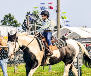 Hop on out favorite picks for fall festivals in CT! Durham Fair photo by Pat Slonina, courtesy of the fair