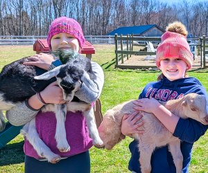 Baby Goat  Snuggle Sessions, photo courtesy of Syman Says Farm