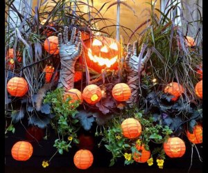 Image of pumpkin display in Brookline-Best Neighborhoods to Trick-or-Treat in Boston.