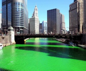 Chicago River for St. Patrick's Day. photo courtesy of Lawnstarter