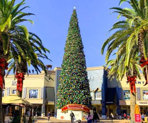 Is this really America's tallest fresh-cut Christmas tree? Check it out live and see! Photo courtesy of Citadel Center