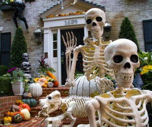 Spooky Halloween sighting in Georgetown!
