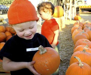 From local parking lot patches to farms near Los Angeles, here's where to find your perfect pumpkin.