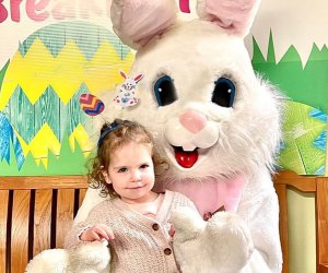 Family-friendly spots around Connecticut are hosting picture time with the Easter Bunny. Easter Bunny photo courtesy of Stew Leonards