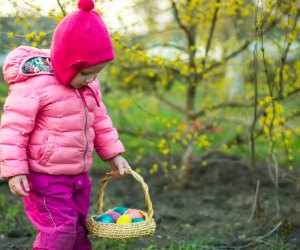  Search for eggs this weekend, or meet the Easter Bunny. Photo courtesy Canva