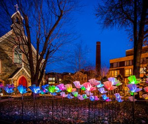 Georgetown GLOW is the DC area's only free, curated outdoor public light art experience. Photo courtesy of Georgetown GLOW 