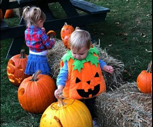 Ivoryton Village Pumpkin Festival is perfect for toddlers and preschoolers. Photo courtesy of the Festival
