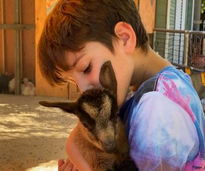 A goat hug makes any day brighter. Photo courtesy of Kfar Saba Urban Farm 