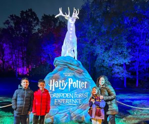 Harry Potter: A Forbidden Forest Experience returns to Morven Park. Photo by Jennifer Marino Walters