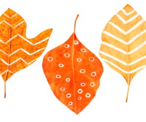 Fall leaves make for pretty decor anywhere! Download printable leaf artwork courtesy of Intimate Weddings