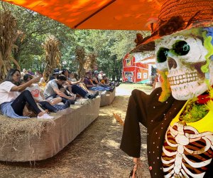 Don't let your gourd down at the Fall Harvest Festival in Davie. Photo courtesy of Flamingo Road Nursery