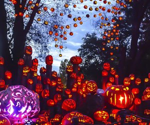 The amazing Jack-O-Lantern Spectacular is one of Greater Boston's top Halloween events every year. Photo by Anne McDonough for the Roger Williams Zoo